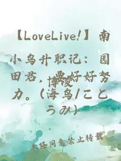 【LoveLive!】南小鸟升职记：园田君，要好好努力。(海鸟/ことうみ)