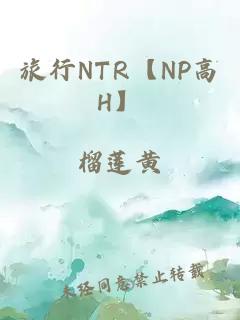 旅行NTR【NP高H】